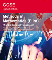Linked Pair Pilot: Methods in Mathematics