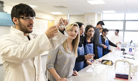 Students in the lab