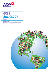  Social structures, social processes and social issues