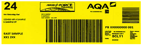 Sample yellow address label